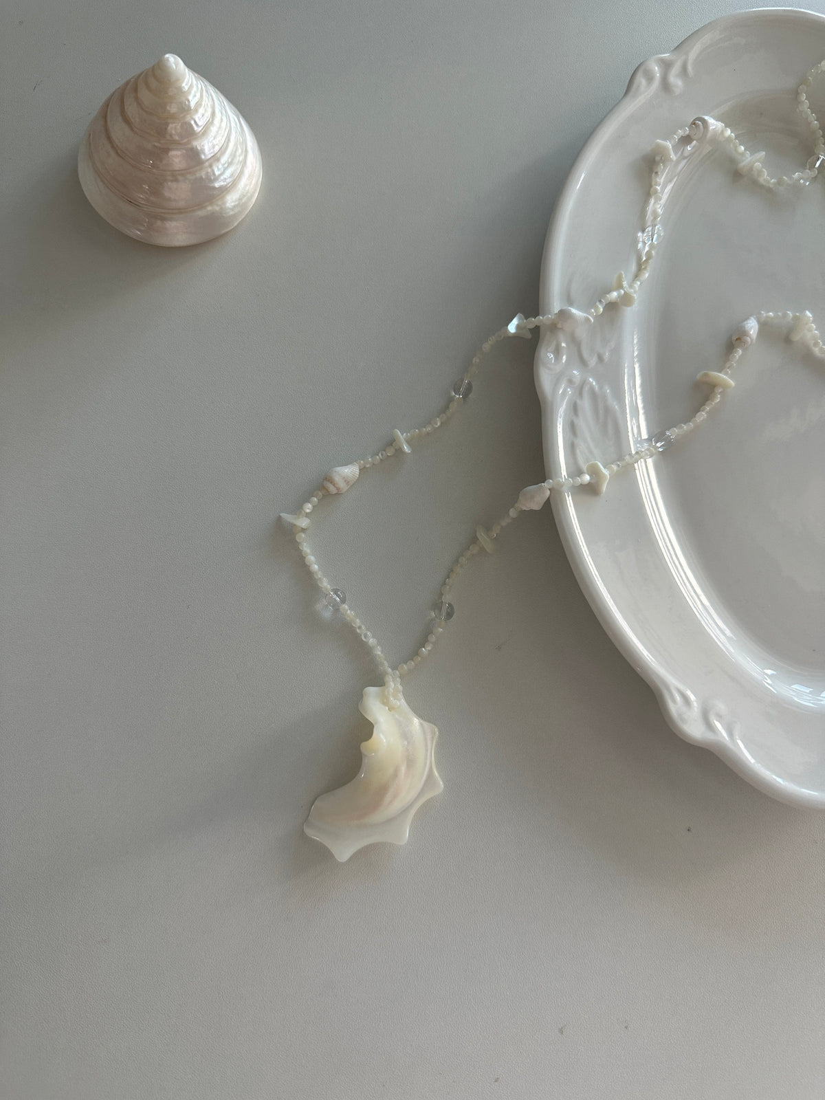 Shell Pendant Long Necklace - SH5119EK